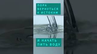 Пора вспомнить о важности воды. #буграирина#водаэтожизнь #вода#здоровоетело