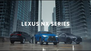 Discover the Lexus NX | Walkaround Video Tour