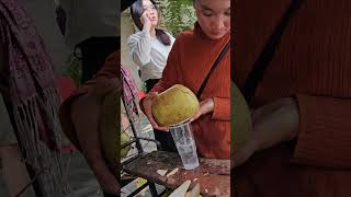 Beautiful girl coconut cutting skills. #shorts #coconut #short #satisfying