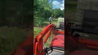 Watering the cows and repairing the ditch. #tractor #farm #farming #homestead #diy #cattle #water