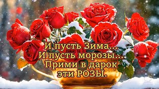 И ПУСТЬ ЗИМА... 🌹И ПУСТЬ МОРОЗЫ...🌹ПРИМИ В ПОДАРОК ЭТИ РОЗЫ🌹🌹🌹🌹🌹🌹🌹🌹🌹🌹🌹🌹🌹🌹🌹🌹🌹🌹🌹🌹🌹🌹🌹🌹🌹🌹