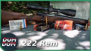 Zastava M85 .222 Remington, ljut mališan