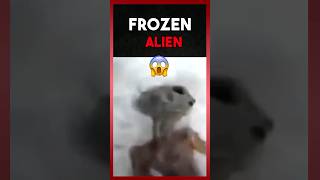 Frozen Alien ? 😱🥶😳