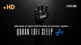 Beautiful Quran recitation 🌙Quran Lofi sleep💤 | one hour of quiet recitations of the Holy Quran