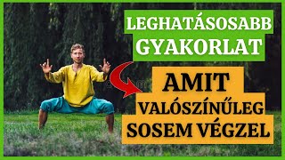 Leghatásosabb 2 perces Gyakorlat, amit valószínűleg NEM végzel az Edzésedben...