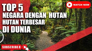 TOP 5 | Negara Dengan Hutan Terbesar Di Dunia | The Country With The Largest Forest In The World