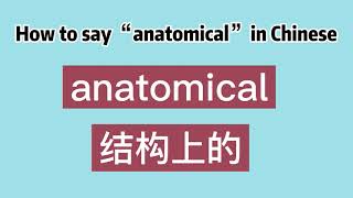 How to say “anatomical” in Chinese