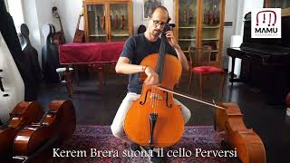 Violoncello Claudio Perversi 2000