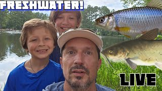 Fish Head Videos is FISHING live! #catfish #fishing