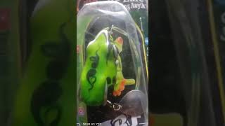 lure casting paling asikk buat ikan gabus #shorts #lure #casting #mancing