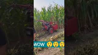 Break the corn and harvest the corn  #corn harvester ✨