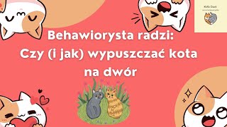 Czy kot musi wychodzić na dwór [i jak spacerować z kotem]?