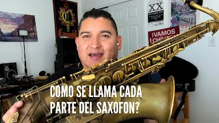 Saxofón Para Principiantes - Cómo Se Llama Cada Parte del Saxofón? RamirezSax 🎷