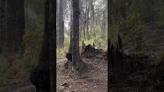 Esto da años de vida ❄️🥹 Nieve en la luna de miel ❤️