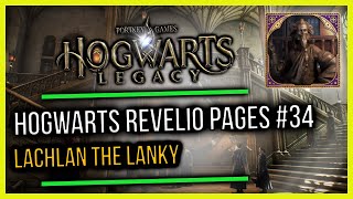 Hogwarts Castle Field Guide Revelio Pages #34 Lachlan The Lanky