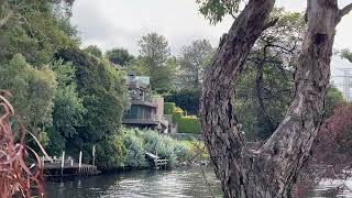 Yarra trail #walking #trail #melbourne