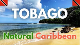 Mt. Irvine Bay Trinidad and Tobago Travel Seabirds Nature sounds Caribbean Sea ASMR