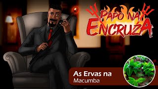 Papo na Encruza 161  - As Ervas na Macumba