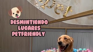 desmintiendo lugares petfriendly 🐶🐶,  Hoy nos adentramos en kumpet #perros #dog #pets #desmintiendo