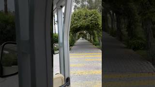 Hotel to Beach by shuttle | #shortsvideo | #shortsviral | #short | #shorts | #shortsviralvideo