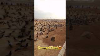 Jannatul Baqi ❤ #ytshorts 2l#trending #shorts #viral