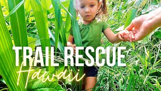 Hiking Kapa'ele'ele Trail in Kahana State park | Tall grass, mud, mosquitos, and one very lost pup