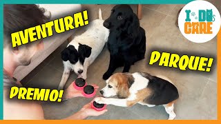 Perros Controlan nuestra Vida por un Día