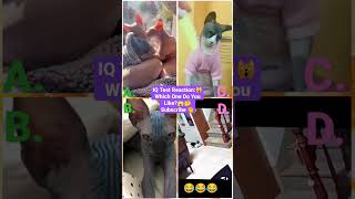 Happy New Year - Funny Animal Videos 2023😂 - Funniest Cats and dogs Video 😺😍#shorts #animals #cat