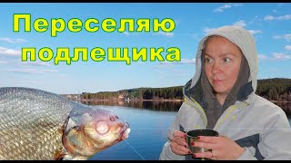 Переселяю подлещиков