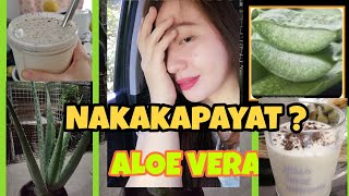 ALOE VERA: PampaPAYAT // HOW to Prepare Aloe Gel // Frances Joy