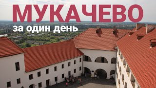 МУКАЧЕВО: шовдарь, бограч, Замок Паланок. Гуси Мартіна і щасливий сажотрус