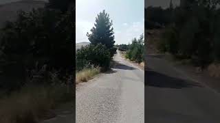 Ödüllü SoruBu yol hangi köye ait?🛣️ İstediğinizden yardım alabilirsiniz #shortvideo #keşfet #tiktok