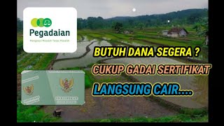 Cara dan syarat Gadai Sertifikat Tanah Terbaru @bubink80family