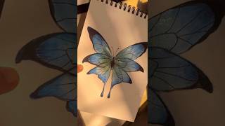 beautiful Fairy Tail butterfly drawing #shorts #viral #youtubeshorts #trending #ytshorts #drawing :