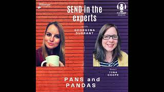 PANS/PANDAS? - Georgina Durrant, in conversation with PANS PANDAS UK  (Audio only version)