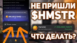 ЧТО ДЕЛАТЬ ЕСЛИ НЕ ПРИШЛИ $HMSTR В КОШЕЛЕК? КАК ВЫВЕСТИ $HMSTR из ХОМЯКА? HAMSTER KOMBAT AIRDROP