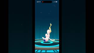 ✨💖💛 Shiny Popplio evolves into Brionne & Primarina! 🌊🪸🧜‍♀️ #shinydex #shinylivingdex #pokemongo