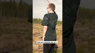 Сажаем лес | посадка леса | shorts #лес #сажаем #посадкалеса #посадилес #экология #волонтерство