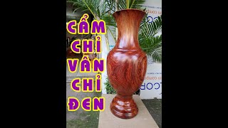 Bình Gỗ Cẩm Chỉ Vân Đen Đẹp Lạ 🌳 Bình Gỗ Phong Thủy Tài Lộc [vankhanhan.com]