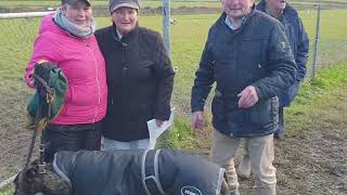 Mr President wins the Kit Browne North Kerry Cup at Ballyduff 2023.