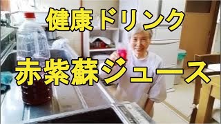 【赤しそジュース】夏にピッタリの健康ジュースの作り方