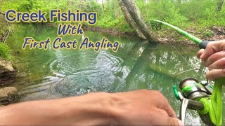 Fishing a small Creek Loaded with Trout!! (Tons of Fish)