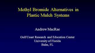 Methyl Bromide Alternatives in Plastic Mulch Systems