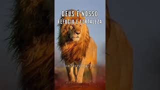 DEUS É NOSSO REFÚGIO E FORTALEZA #Deusénossorefúgioefortaleza #oraçãododia #reflexão #shorts