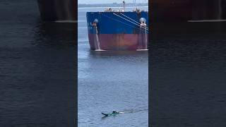 Boat Vs Giant Ship, Size comparison VLOC ship #bigship