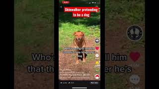 Skinwalker pretending to be a dog