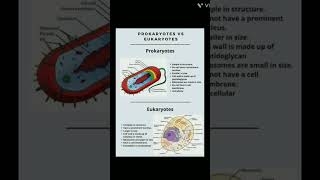 Prokaryotic vs Eukaryotic  cell  ||  Biology  icse9  | #shorts  #youtube #cell types  #education