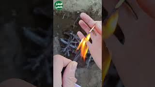 ترفند روشن کردن آتش با تیوپ #طبیعت #کمپینگ #camping #outdoors #survival