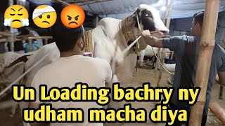 Unloading Main Bachry Nay Udham Macha Diya