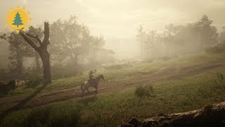 RED DEAD REDEMPTION 2 Ambience & Ambient Music | Kamassa River | Lemoyne | Day/Night Cycles|